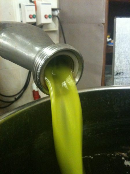 Qu'est-ce que l'huile d'olive